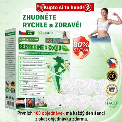 Oficiální obchod 🧪  ✅Funutri® 10 v 1 metabolická tvarující náplast s nano mikrojehličkami (Pouze jednou denně, viditelné změny již za 7 dní)  Určeno pro osoby s obezitou, diabetem, spánkovou apnoe