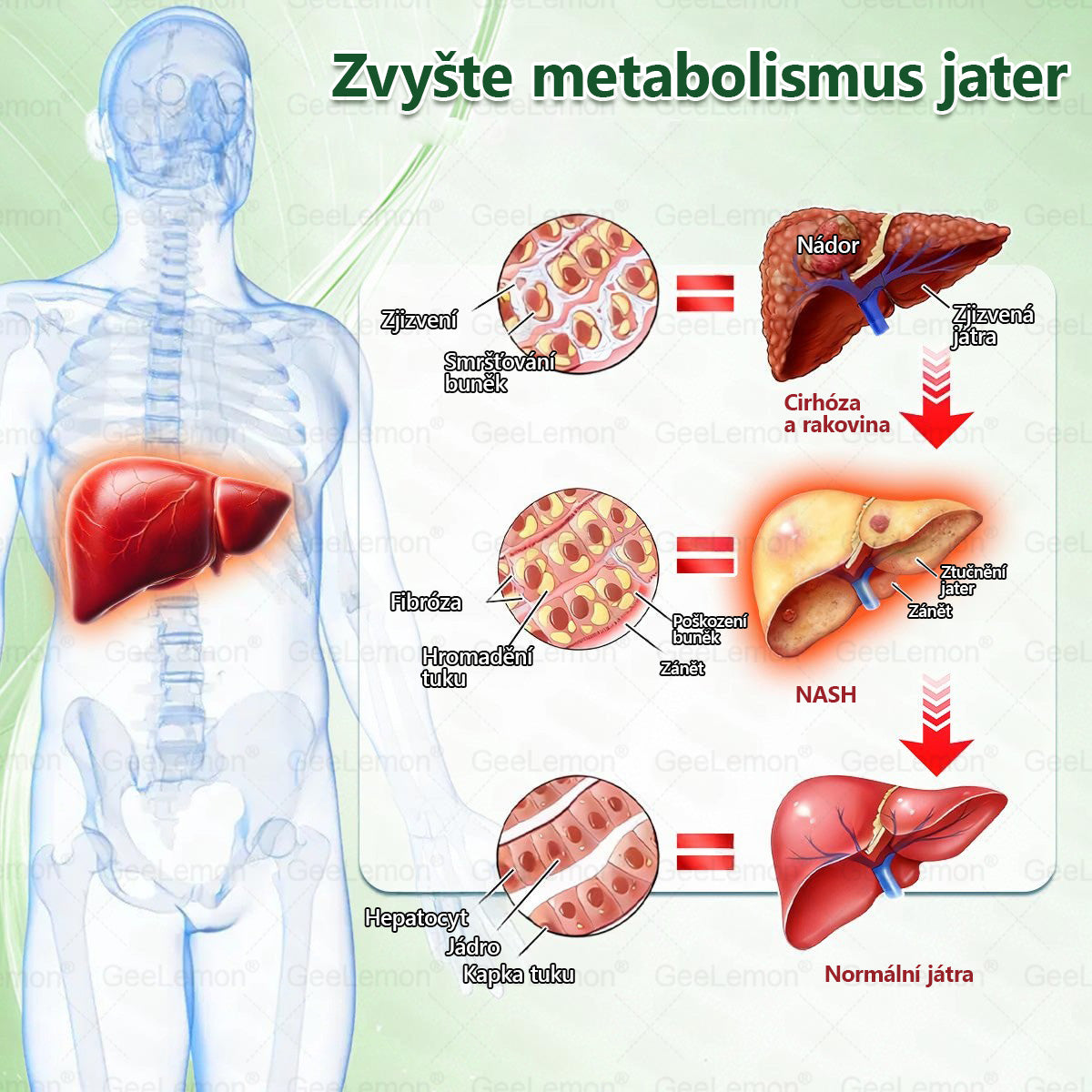 🎁🎁 GeeLemon® – 🎁 Na skladě zbývá už jen 5 balení! Nyní se slevou 50 %! Dostaňte se do formy a podpořte své zdraví ještě dnes. Pokud tuto příležitost teď propásnete, další možnost bude až příští rok!